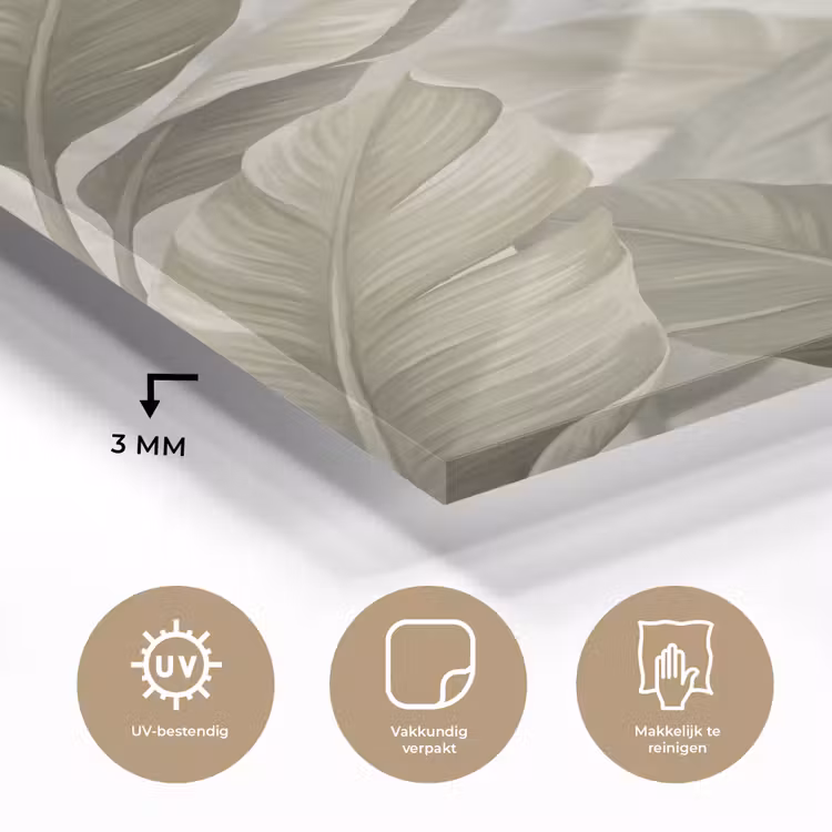 Glas schilderij - Bladeren - Tropisch - Natuur - Abstract - Beige — 3
