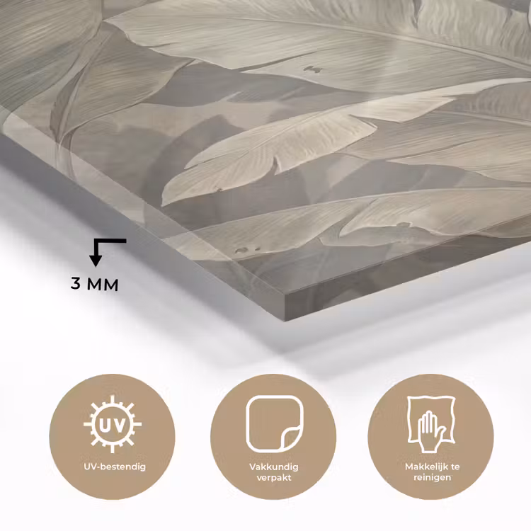 Glas schilderij - Bladeren - Tropisch - Natuur - Modern - Beige — 3
