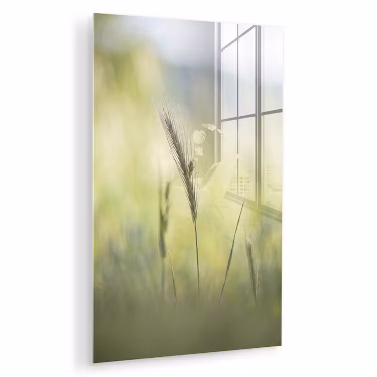 Glas schilderij - Graan - Aar - Natuur - Groen - Detail — 1