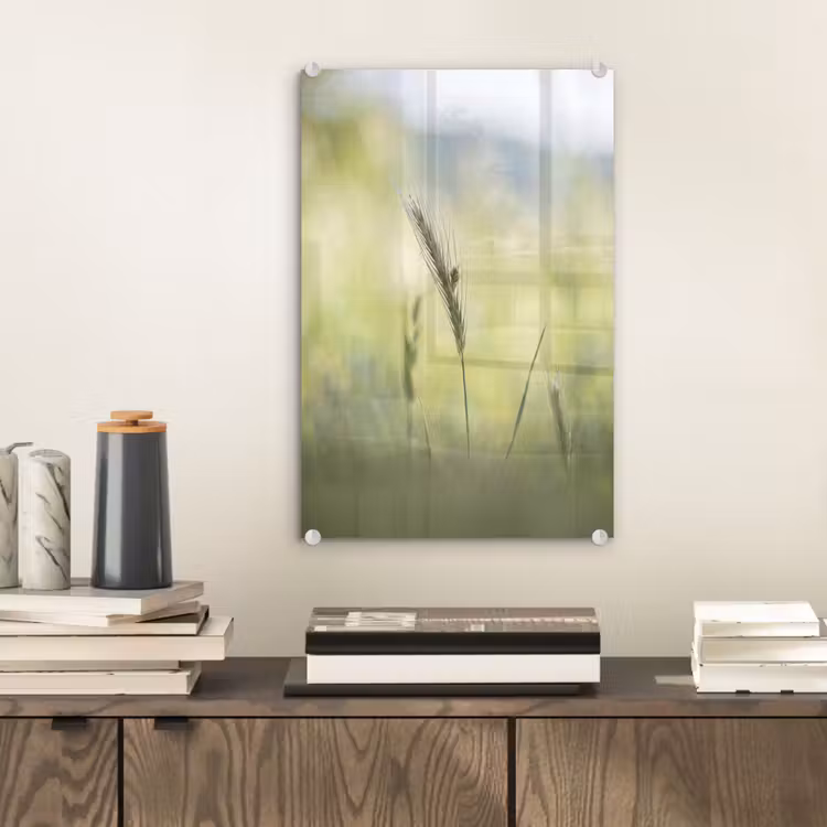 Glas schilderij - Graan - Aar - Natuur - Groen - Detail — 2