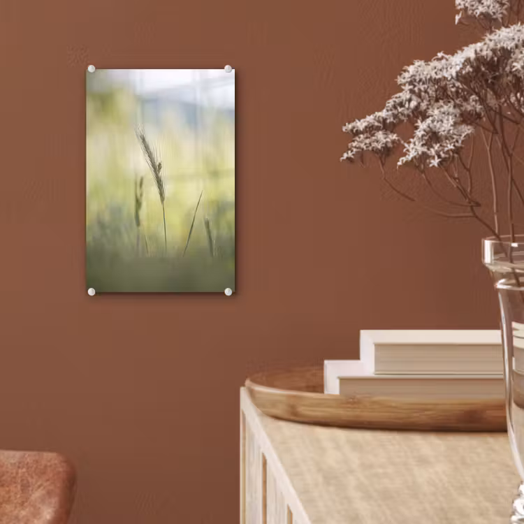 Glas schilderij - Graan - Aar - Natuur - Groen - Detail — 6