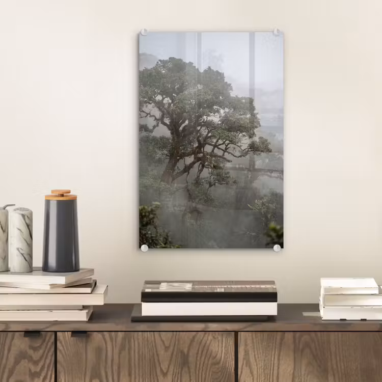 Glas schilderij - Boom - Mistig - Bos - Groen - Natuur — 2