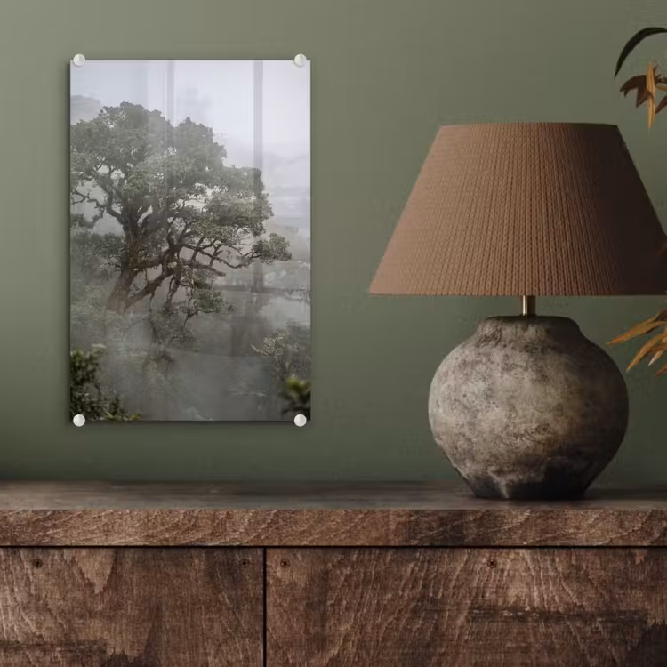 Glas schilderij - Boom - Mistig - Bos - Groen - Natuur — 4
