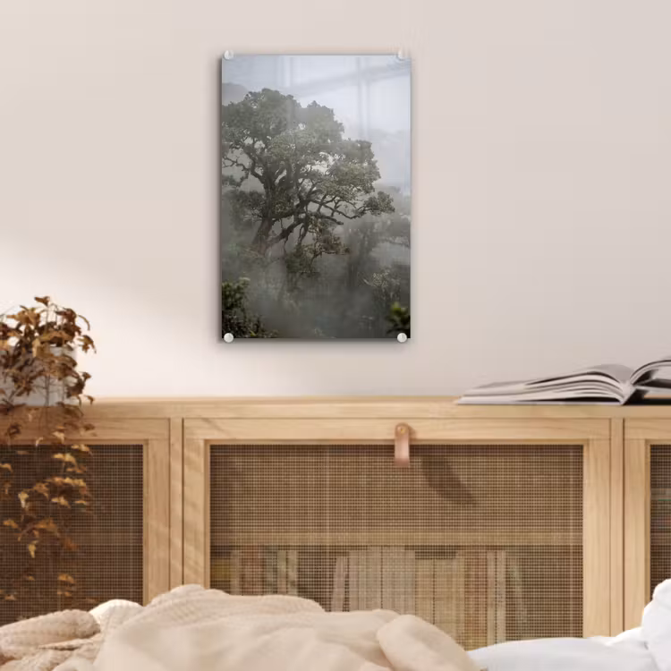 Glas schilderij - Boom - Mistig - Bos - Groen - Natuur — 5
