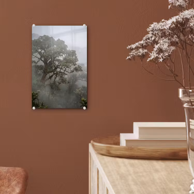 Glas schilderij - Boom - Mistig - Bos - Groen - Natuur — 6