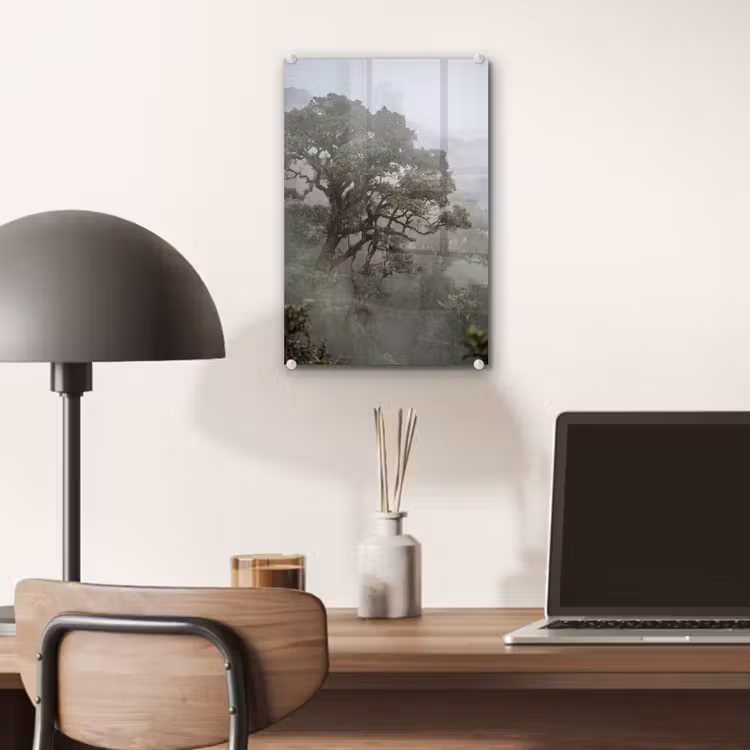 Glas schilderij - Boom - Mistig - Bos - Groen - Natuur — 7