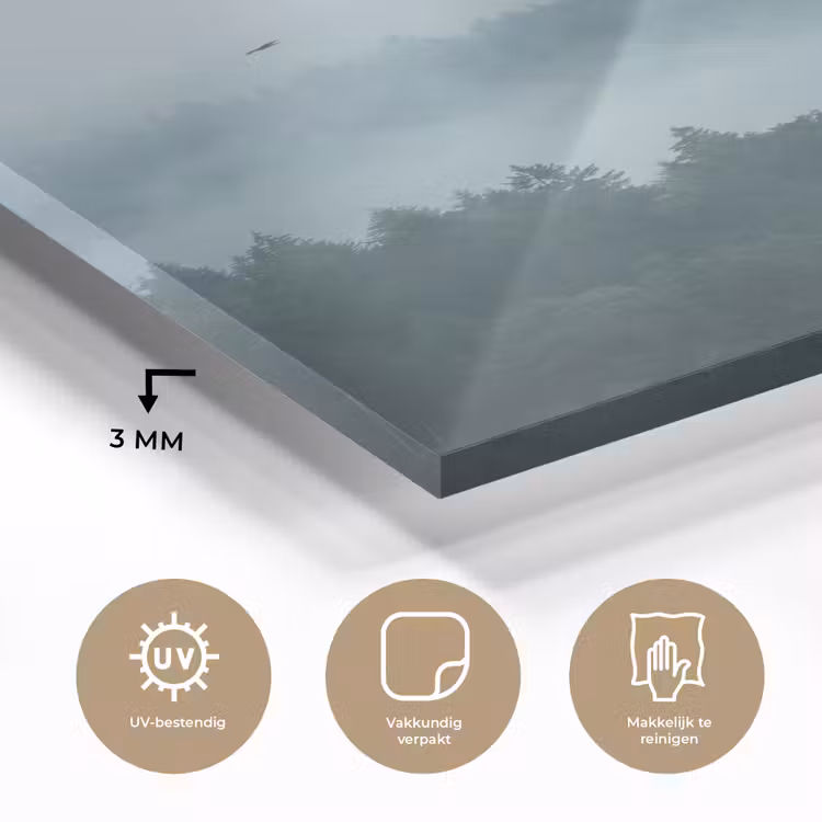 Glas schilderij - Bos - Mist - Vogels - Natuur - Groen — 3
