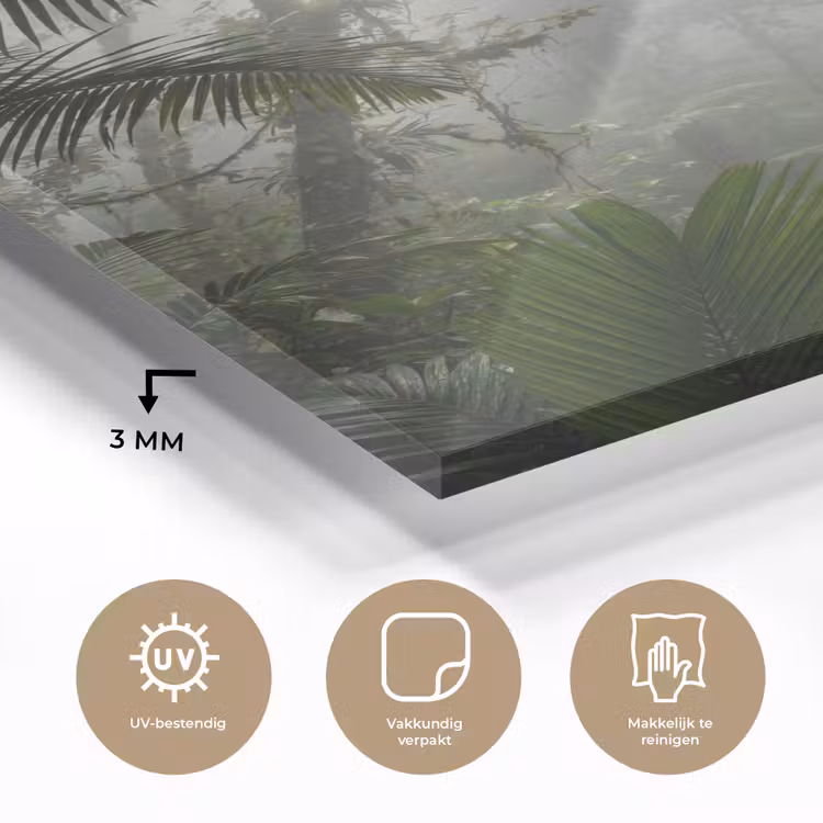 Glas schilderij - Natuur - Jungle - Mist - Groen - Bladeren — 3