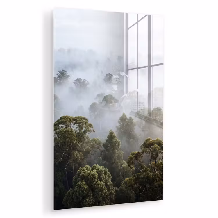 Glas schilderij - Natuur - Mist - Bos - Ochtend - Goud — 1