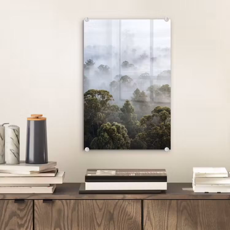 Glas schilderij - Natuur - Mist - Bos - Ochtend - Goud — 2