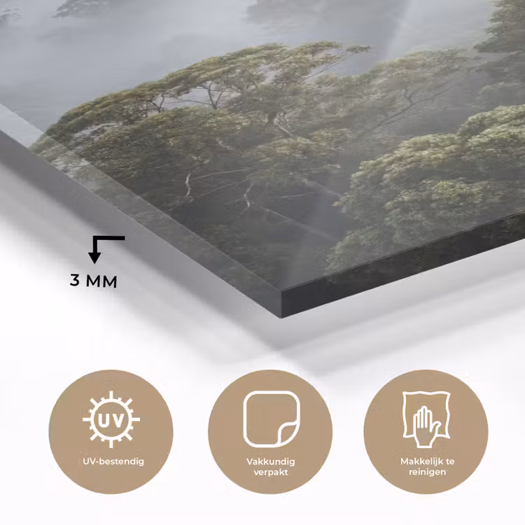 Glas schilderij - Natuur - Mist - Bos - Ochtend - Goud — 3