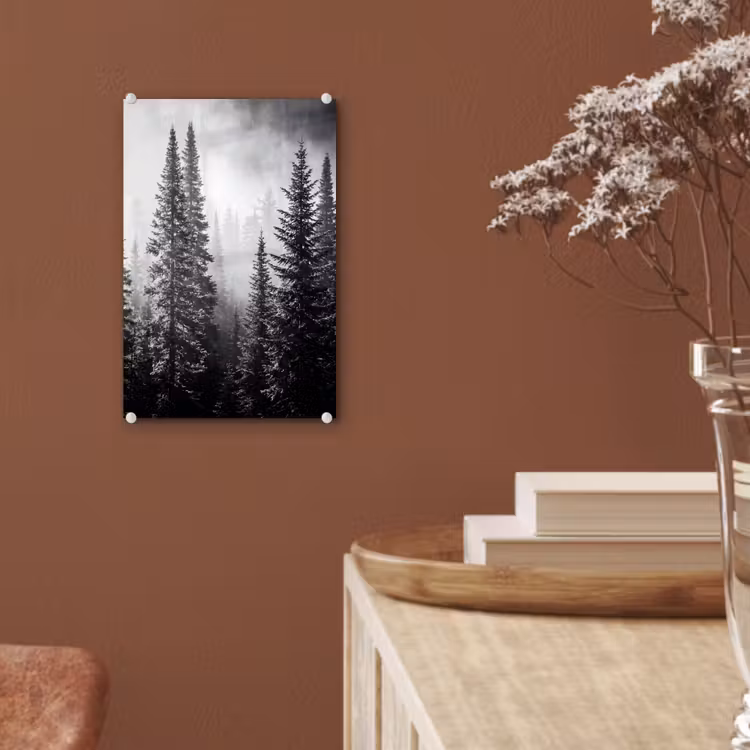 Glas schilderij - Bos - Mist - Winter - Monochroom - Natuur — 6