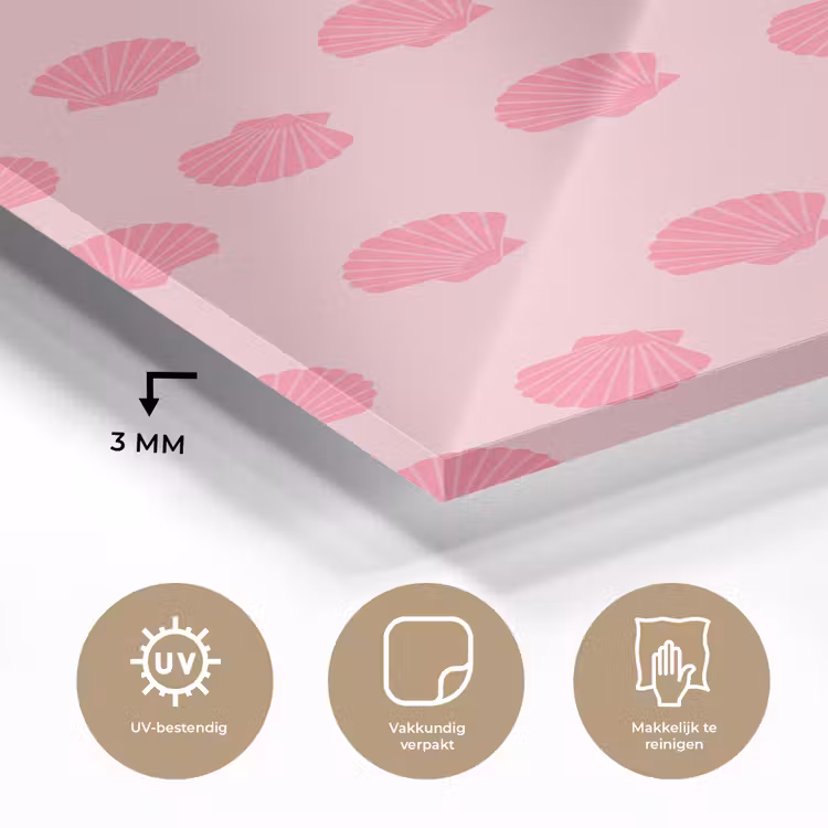 Glas schilderij - Schelp - Patroon - Zee - Modern - Roze — 3
