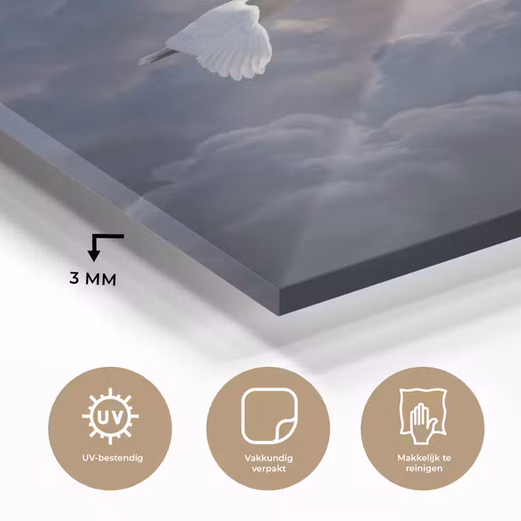 Glas schilderij - Vogel - Vliegend - Natuur - Wit - Wolken — 3
