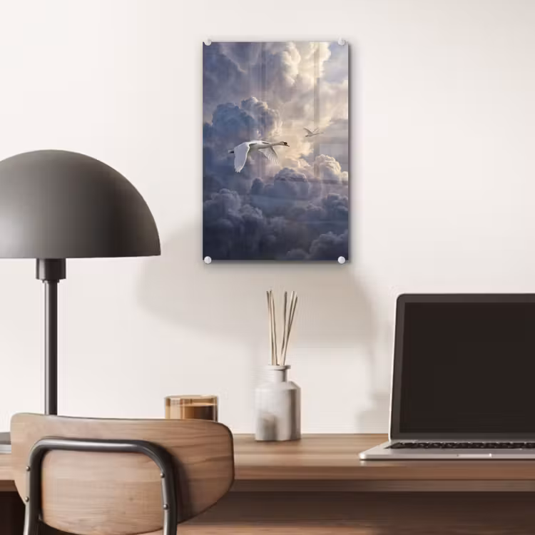 Glas schilderij - Vogel - Vliegend - Natuur - Wit - Wolken — 7