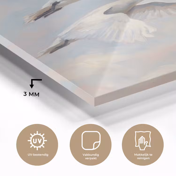 Glas schilderij - Vogel - Vliegend - Lucht - Modern - Pastel — 3