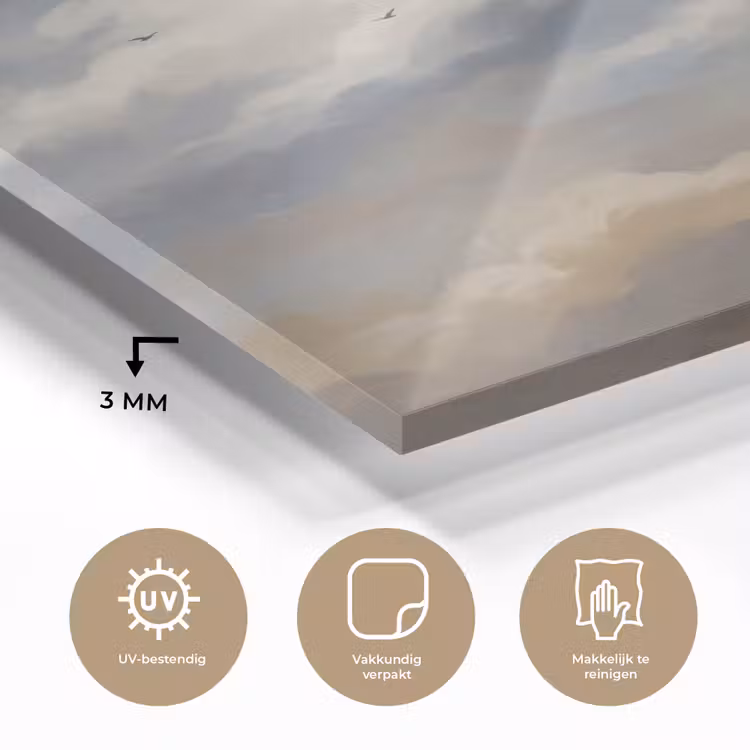 Glas schilderij - Vogel - Wolken - Natuur - Modern - Grijs — 3