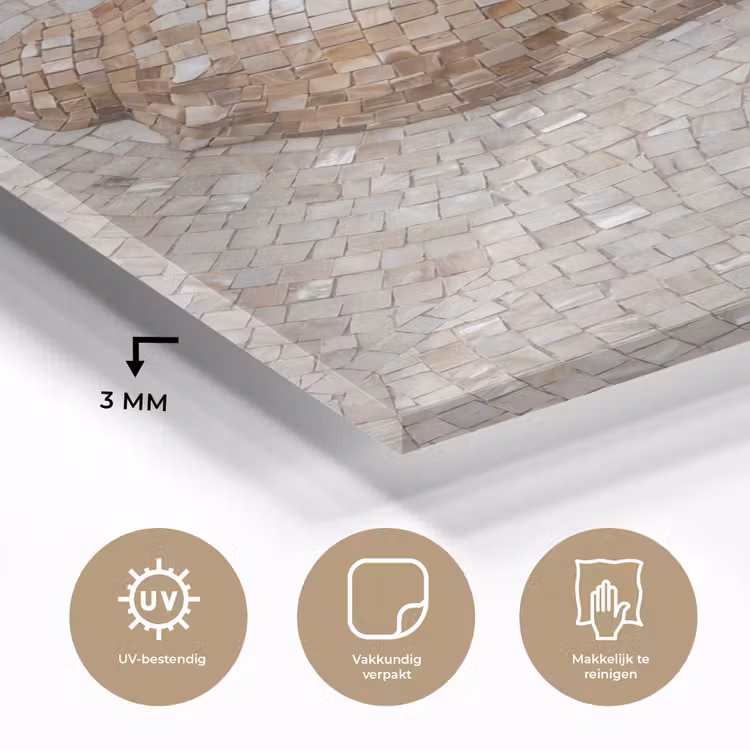 Glas schilderij - Schelp - Mozaïek - Zee - Beige - Modern — 3