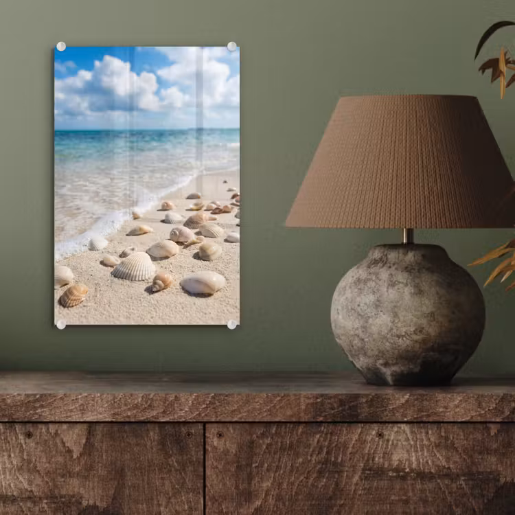 Glas schilderij - Schelpen - Strand - Natuur - Beige — 4
