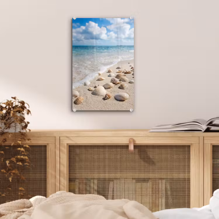 Glas schilderij - Schelpen - Strand - Natuur - Beige — 5