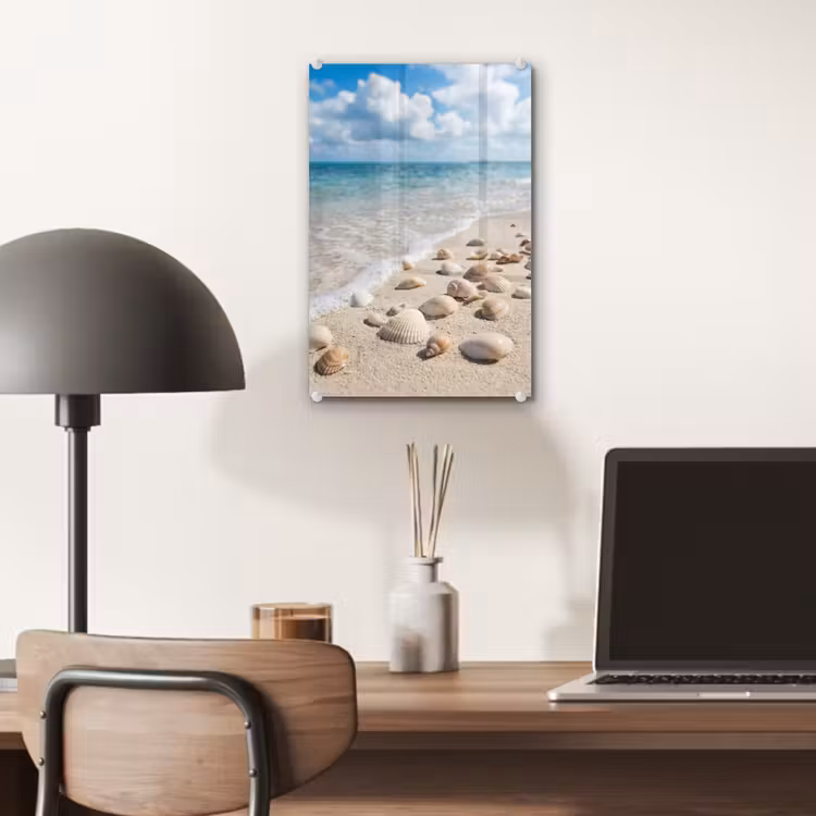 Glas schilderij - Schelpen - Strand - Natuur - Beige — 7