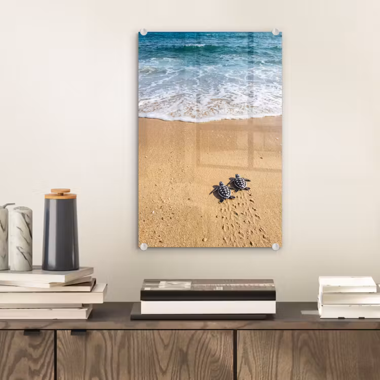 Glas schilderij - Schildpad - Jong - Strand - Oceaan - Blauw — 2