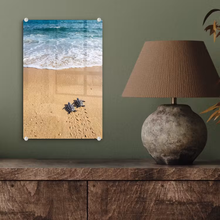 Glas schilderij - Schildpad - Jong - Strand - Oceaan - Blauw — 4