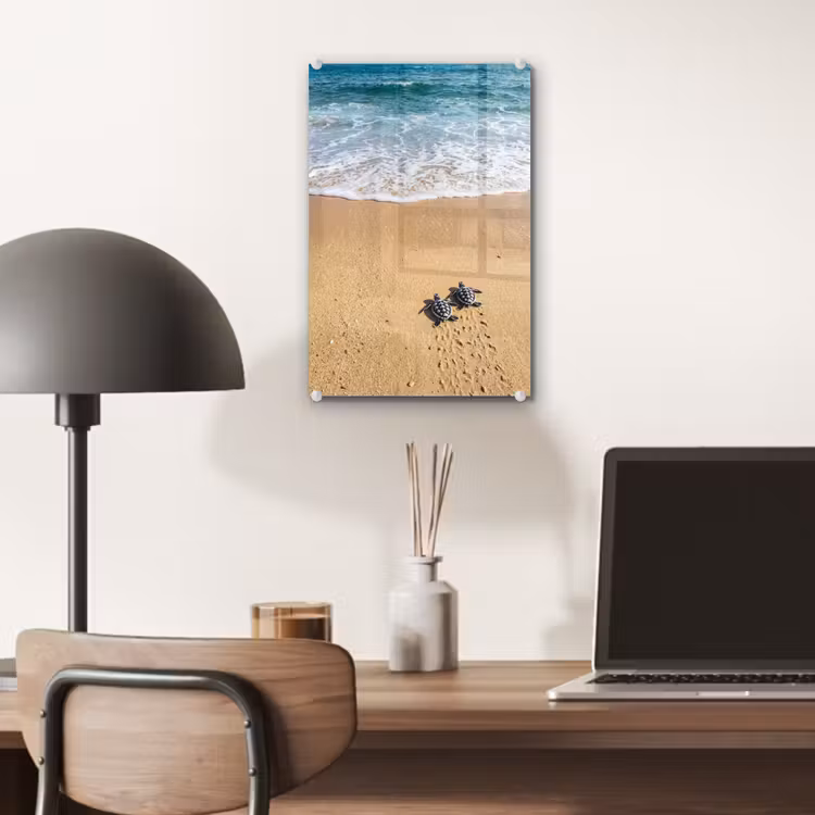 Glas schilderij - Schildpad - Jong - Strand - Oceaan - Blauw — 7