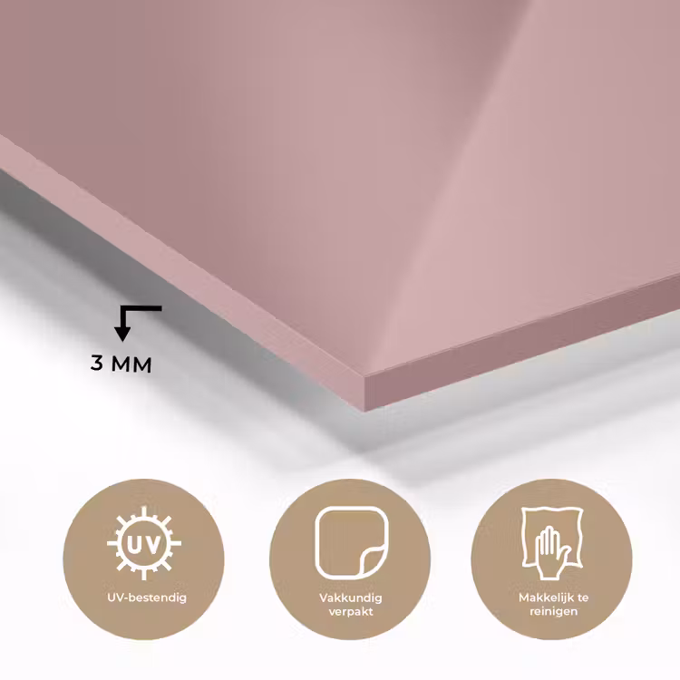 Glas schilderij - Dusty - Rose - Roze — 3
