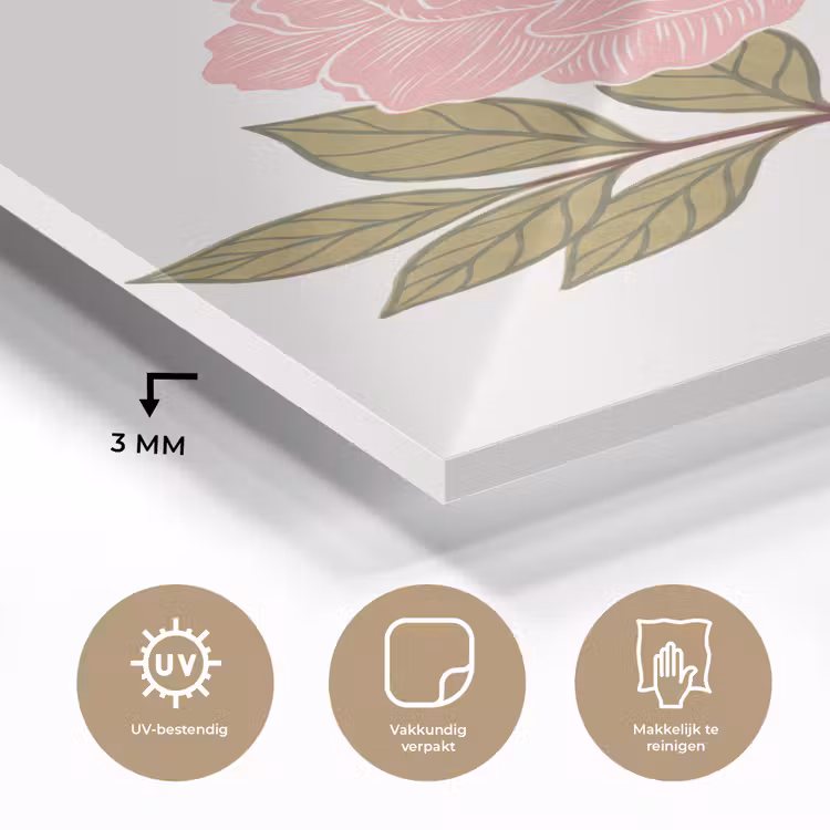 Glas schilderij - Bloemen - Roze - Illustratie — 3