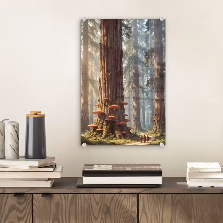Glas schilderij - Bos - Bomen - Natuur — 2