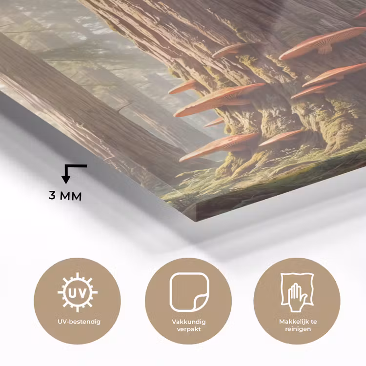 Glas schilderij - Bos - Bomen - Natuur — 3