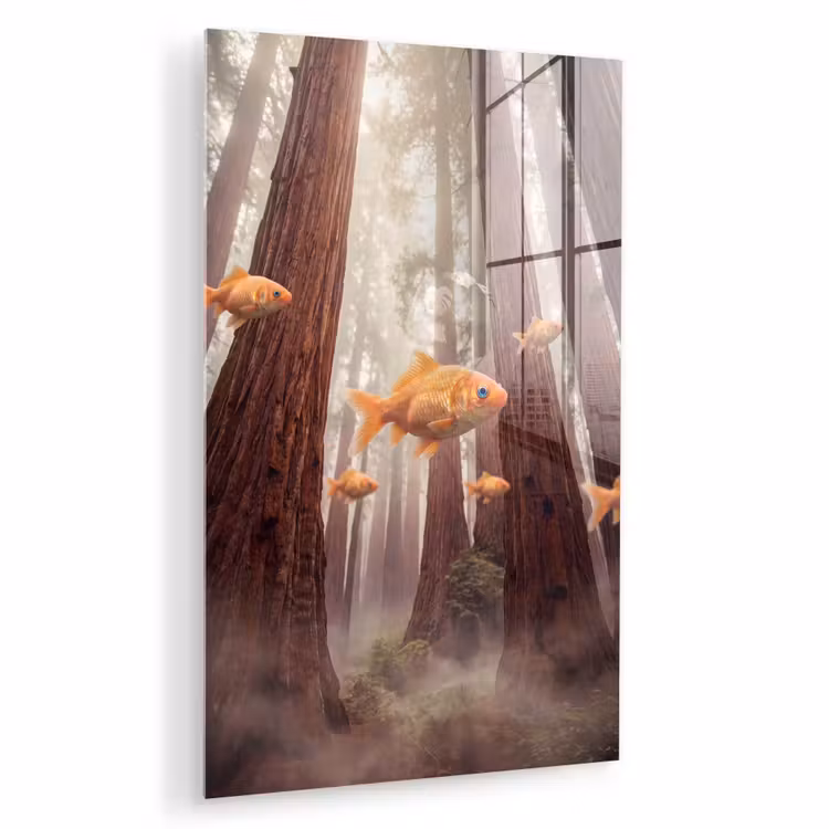 Glas schilderij - Vis - Bos - Fantasie — 1