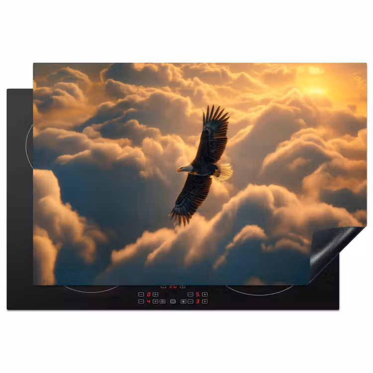 Inductie beschermer - Adelaar - Wolken - Zon — 2