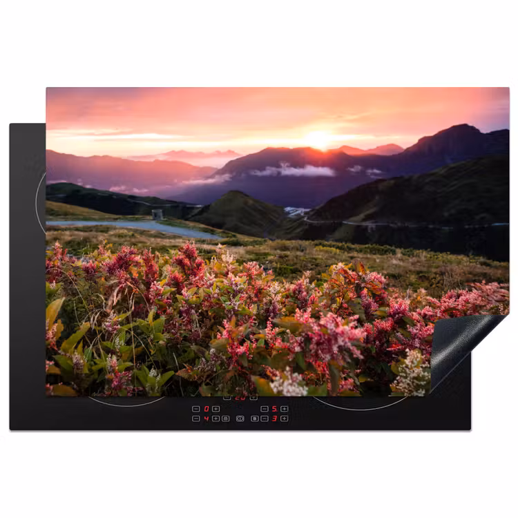 Inductie beschermer - Alpengloed en Wilde Bloemen — 1