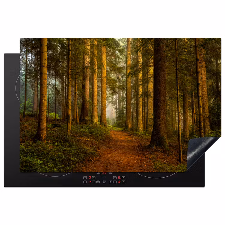 Inductie beschermer - Bos - Natuur - Bomen - Landschap - Bladeren — 1