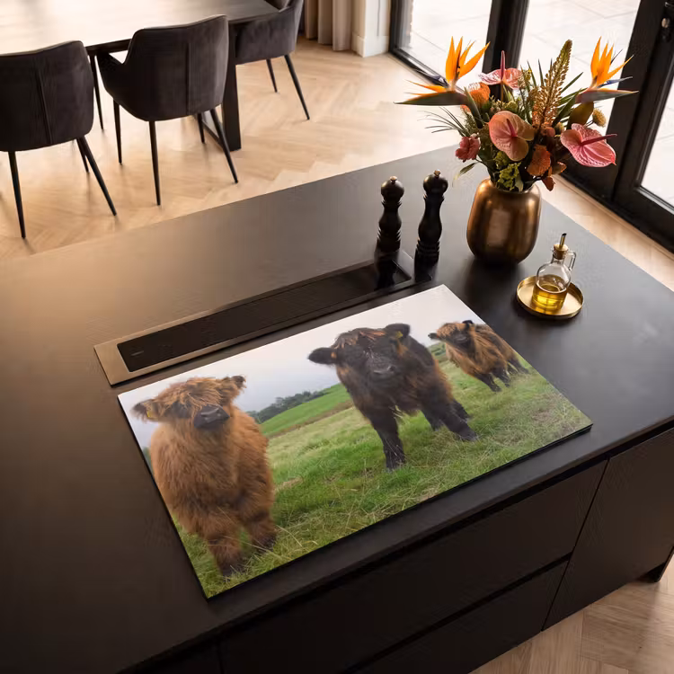 Inductie beschermer - Duo van de Weide — 3