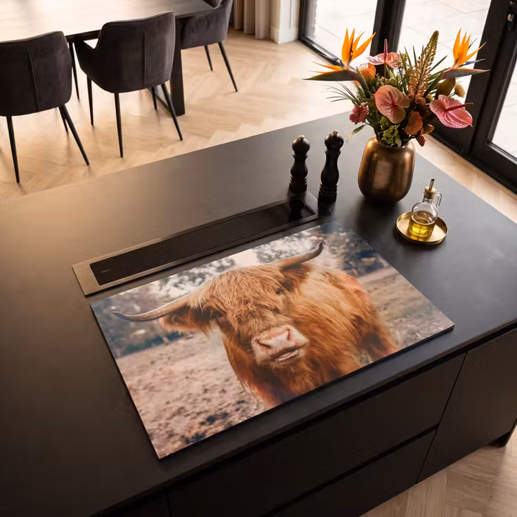 Inductie beschermer - Blik van de Rustieke Reus — 3