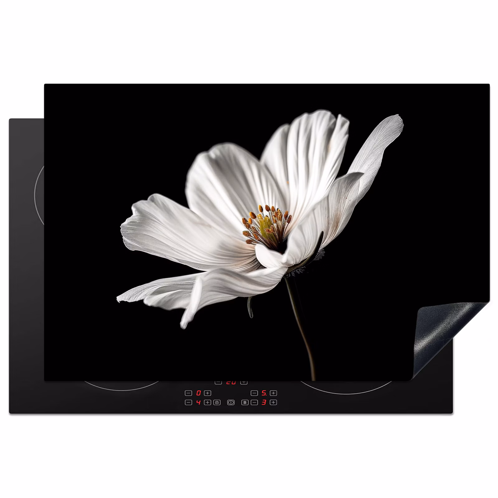Inductie beschermer - Bloem - Zwart - Wit — 1