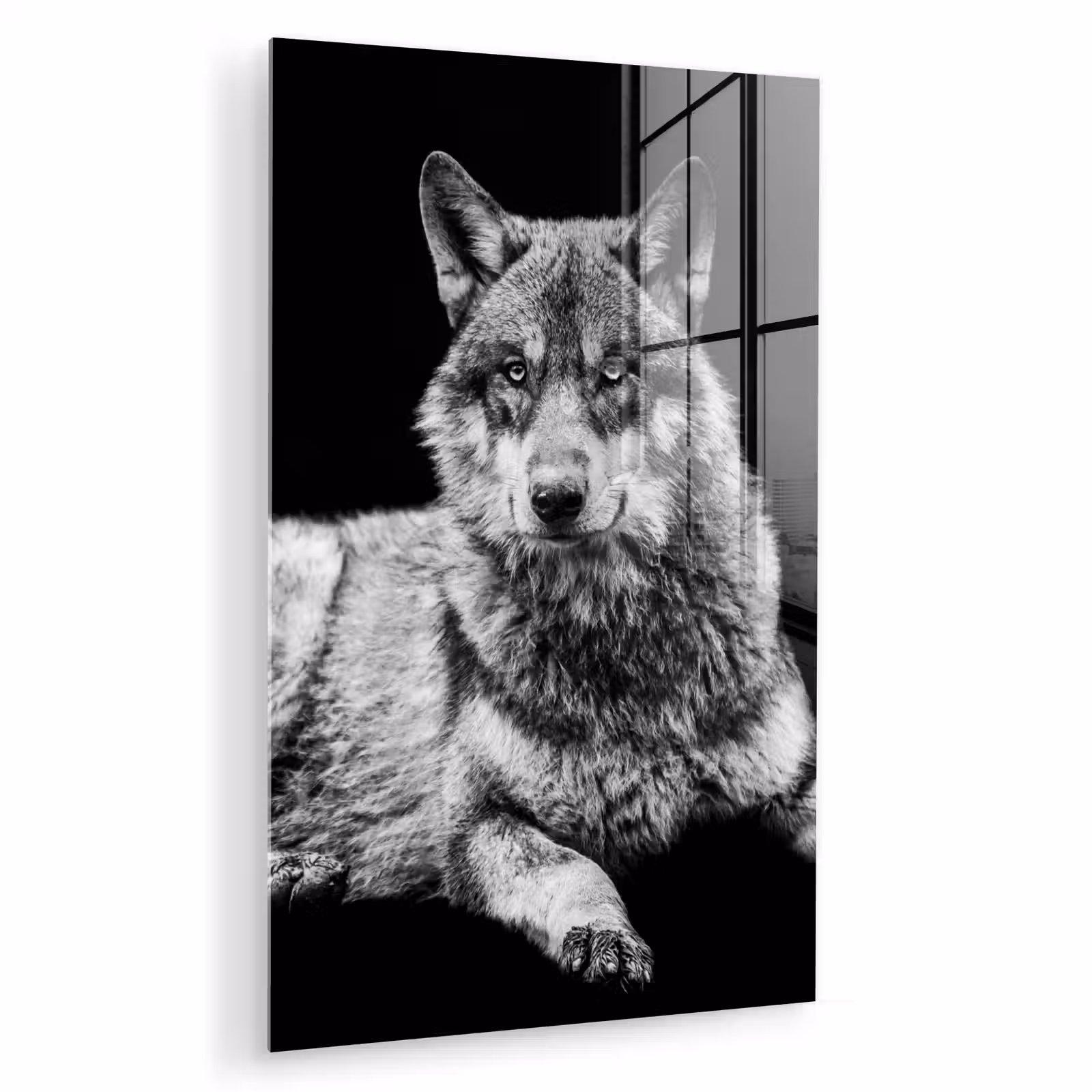 Glas schilderij - Wilde dieren - Wolf - Zwart - Wit — 1