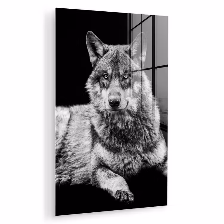 Glas schilderij - Wilde dieren - Wolf - Zwart - Wit — 1