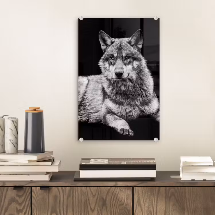 Glas schilderij - Wilde dieren - Wolf - Zwart - Wit — 2