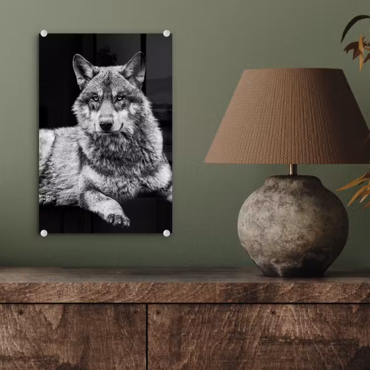 Glas schilderij - Wilde dieren - Wolf - Zwart - Wit — 4