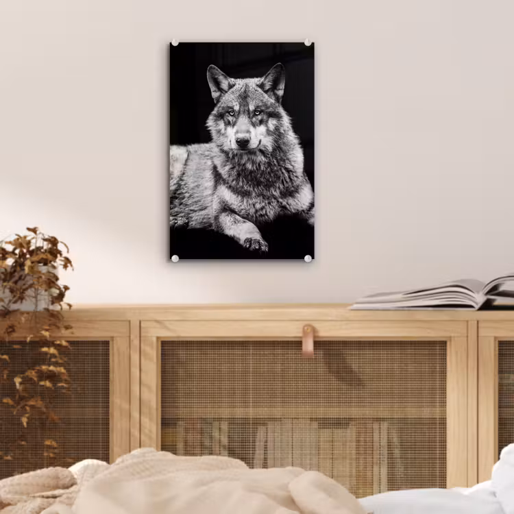 Glas schilderij - Wilde dieren - Wolf - Zwart - Wit — 5