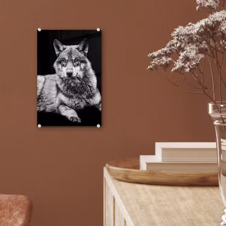 Glas schilderij - Wilde dieren - Wolf - Zwart - Wit — 6