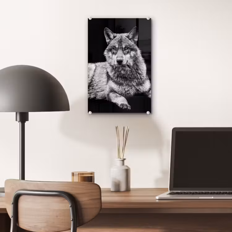 Glas schilderij - Wilde dieren - Wolf - Zwart - Wit — 7