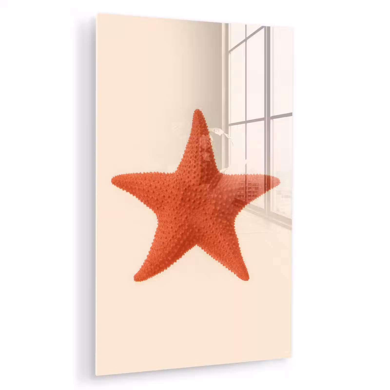 Glas schilderij - Zeester - Bobbels - Rood — 1