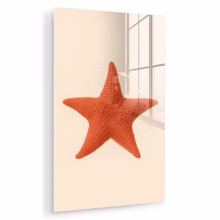Glas schilderij - Zeester - Bobbels - Rood — 1