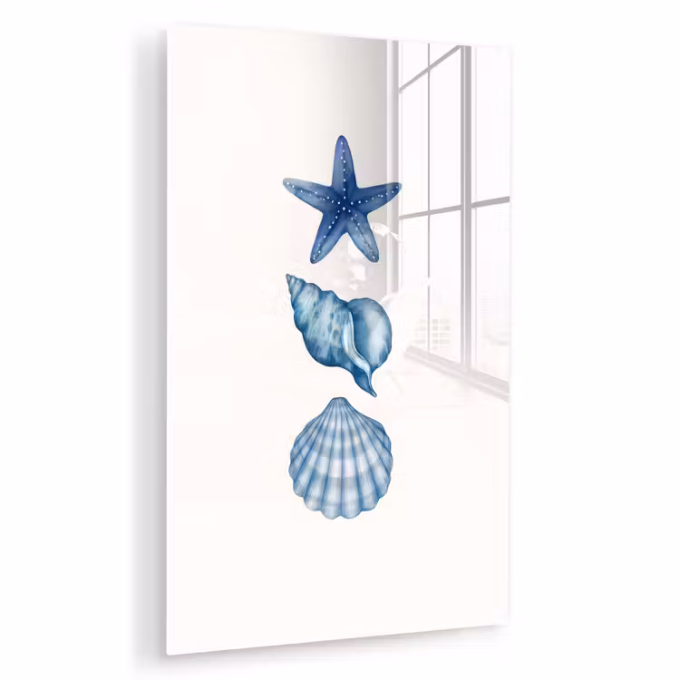 Glas schilderij - Zeester - Schelpen - Blauw — 1