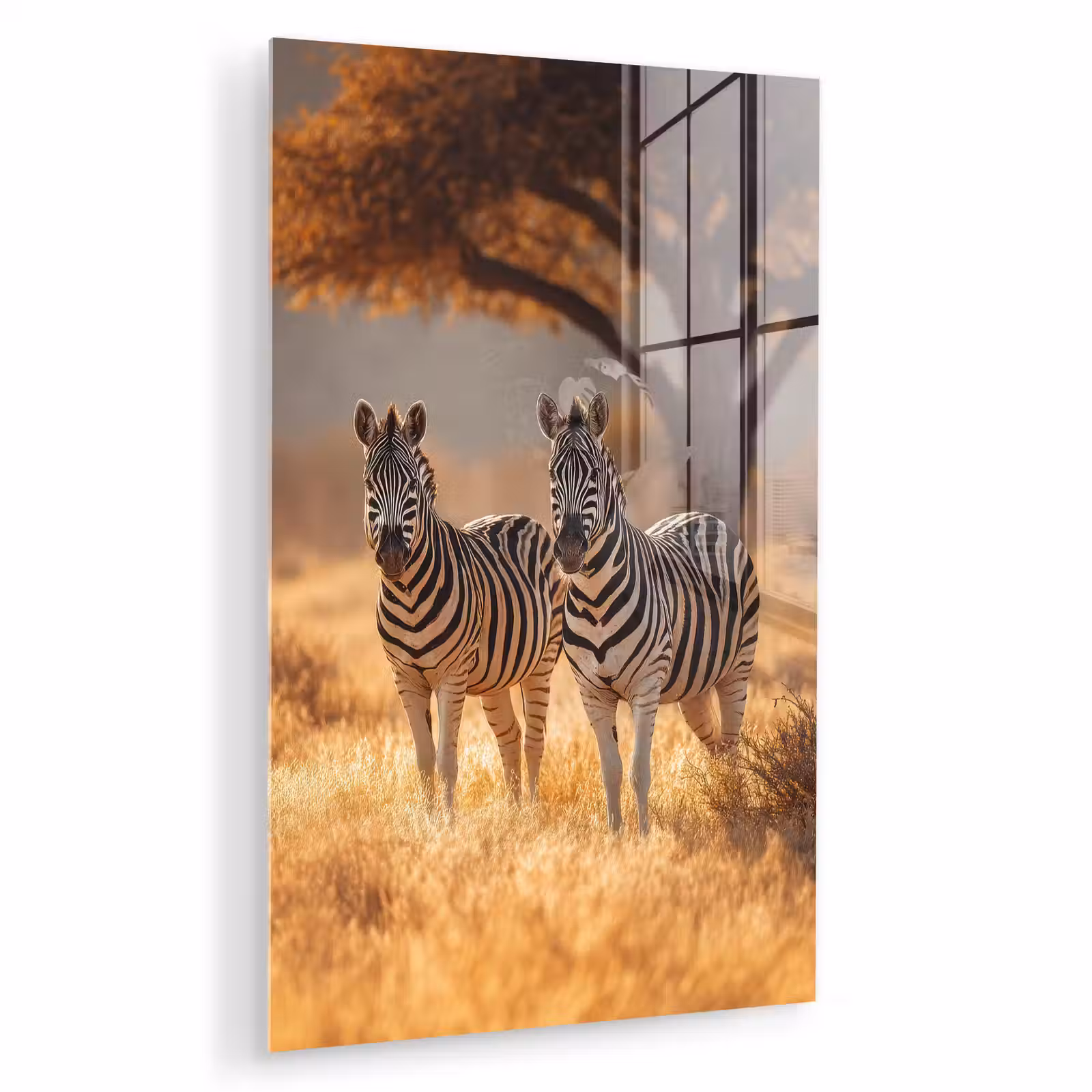 Glas schilderij - Zebra's - Savannelandschap - Gras — 1